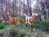 Dinosaur Park Dinosaur Park